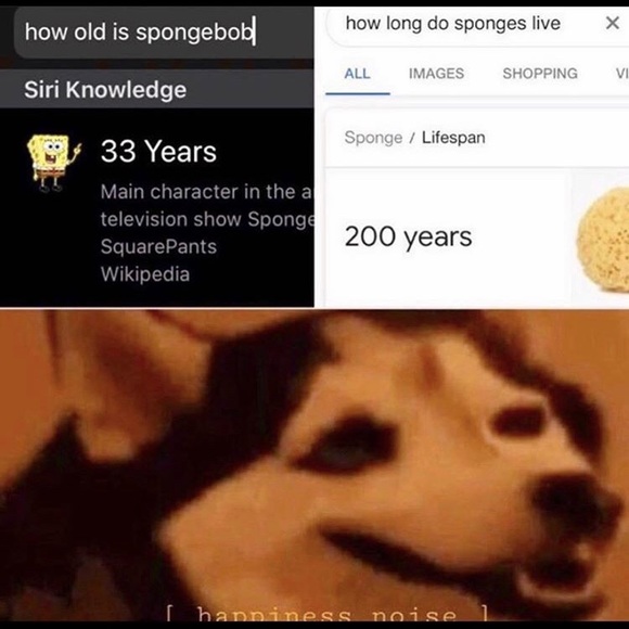 Meet your Posher, Corey - Picture 1 of 1